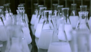 chemie sap transformation