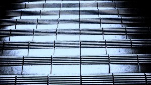 SAP Karriereplanung