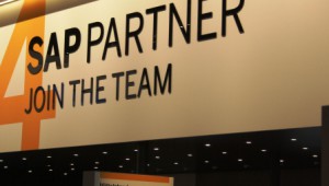 SAP Partner Perspektive