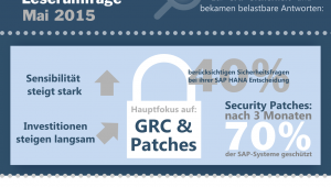 SAP Sicherheit Infografik