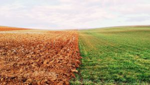 Greenfield brownfield S4HANA