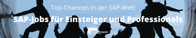 Onlinemesse-SAP-Jobs-22