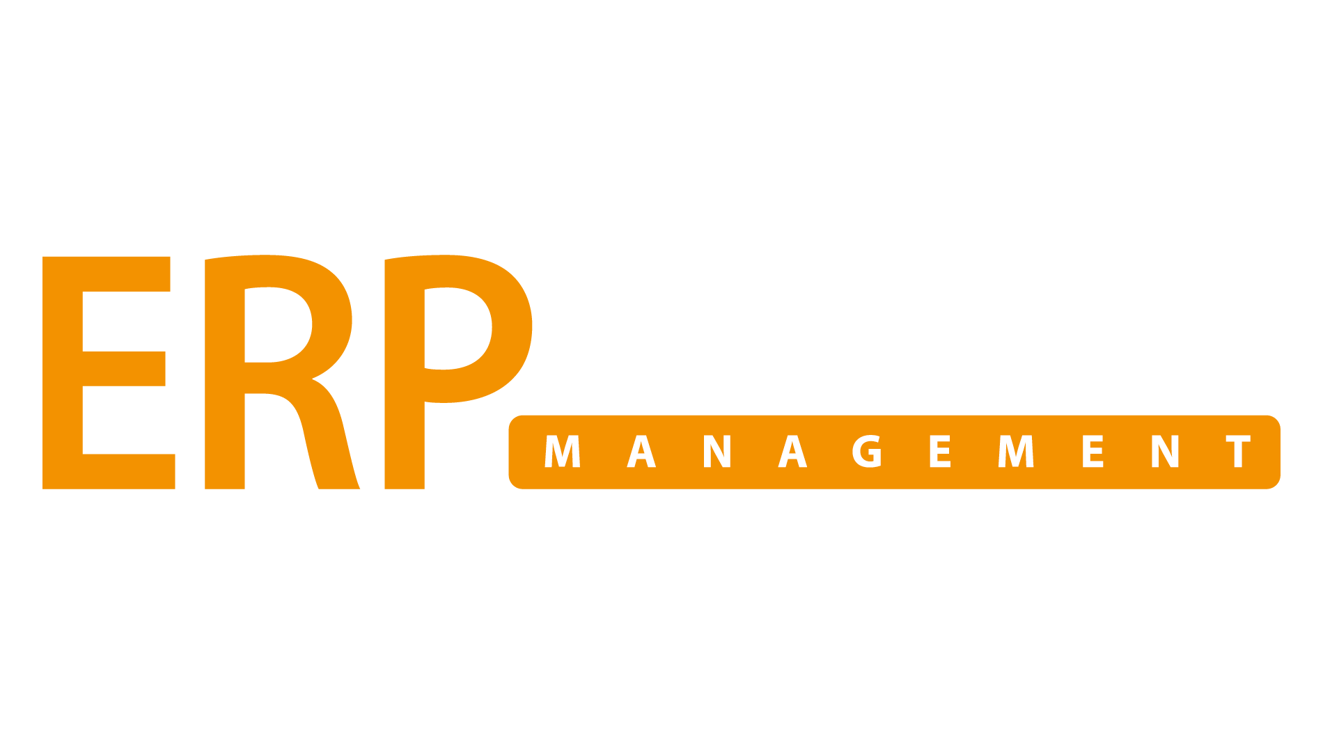 Logo ERP Management Magazin