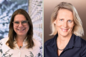 ITOK Speaker SAP Success Pläne