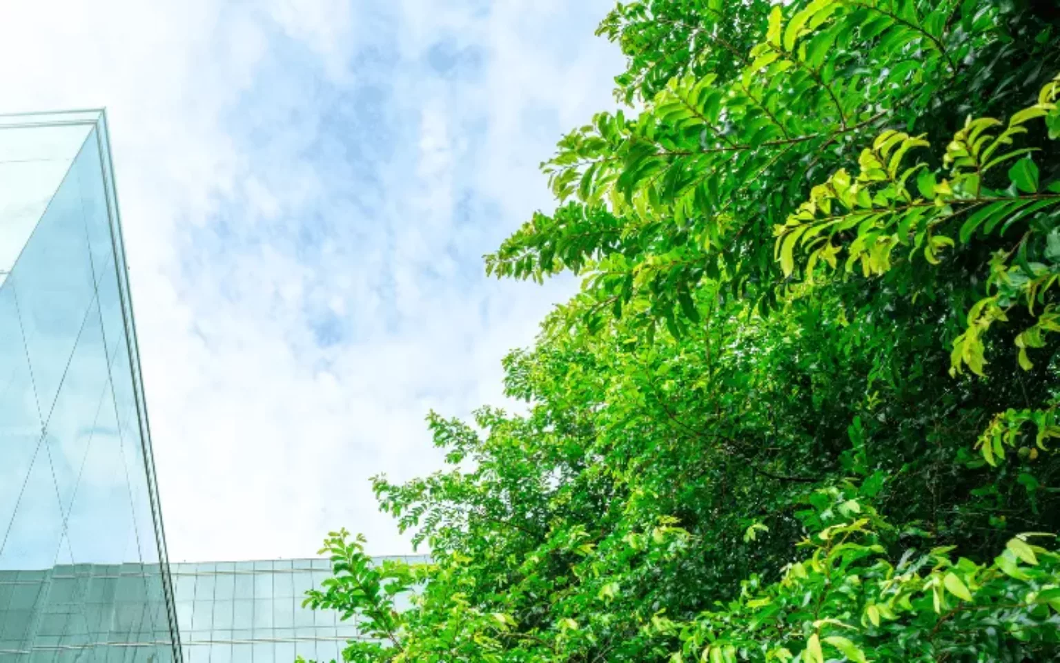 Green Ledger: SAP integriert CO₂-Daten in die Finanzbuchhaltung