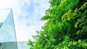 Business Building Green