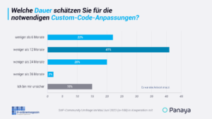 Dauer-SAP-Custom-Code-Anpassungen