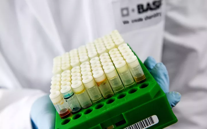 BASF automatisiert P2P-Prozess mit KI weltweit in der Cloud