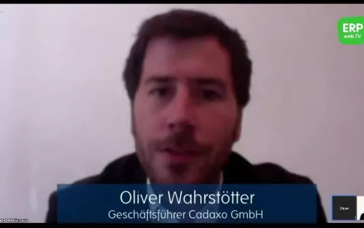 Compliance: Revisionssicherheit bei SAP Massendatenänderungen in Produktivumgebungen | ERP web TV