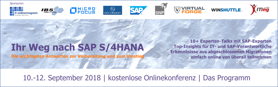 Programm-Onlinekonferenz-2018