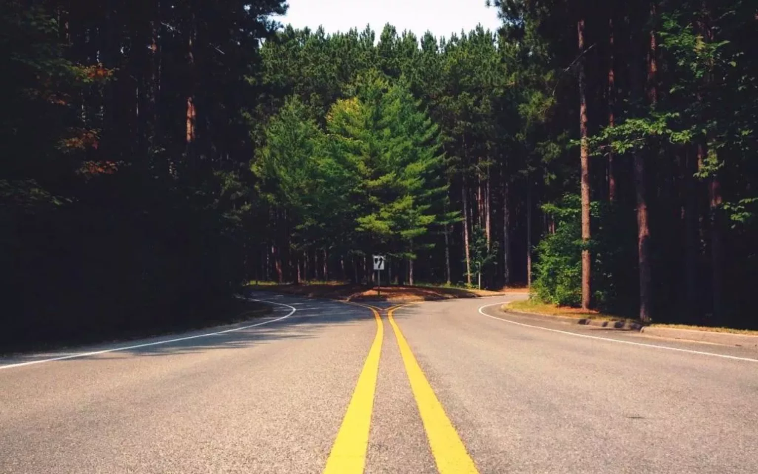 SAP Business ByDesign — oder gleich SAP S/4HANA?