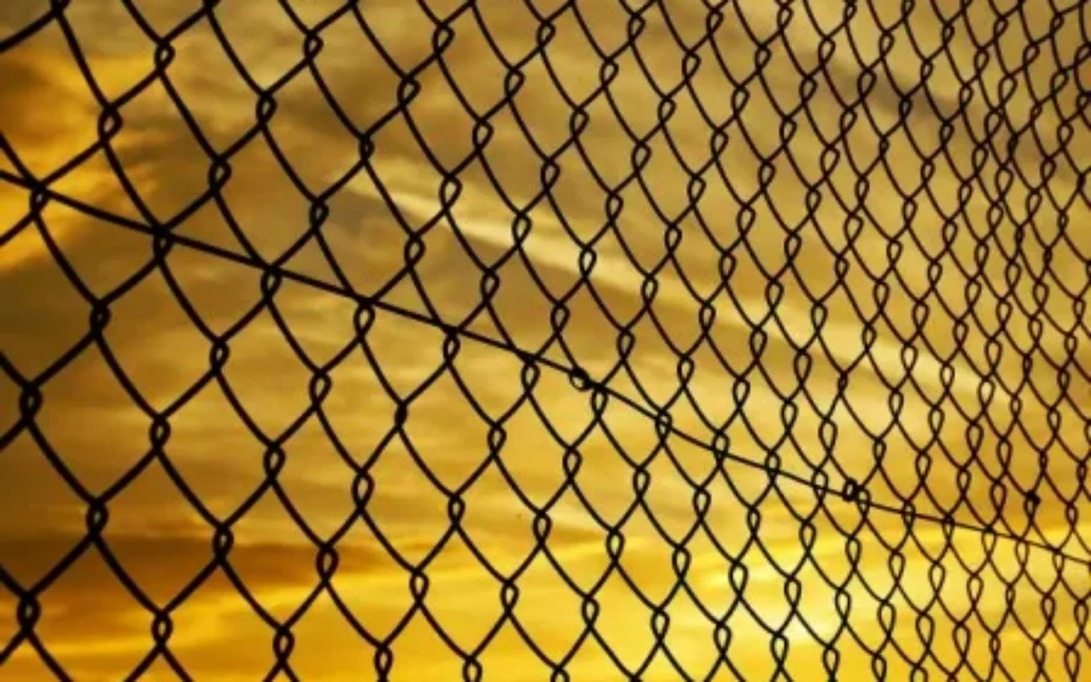 SAP Cloud Sicherheit: Bedenken und wichtige Fragen vor der Nutzung