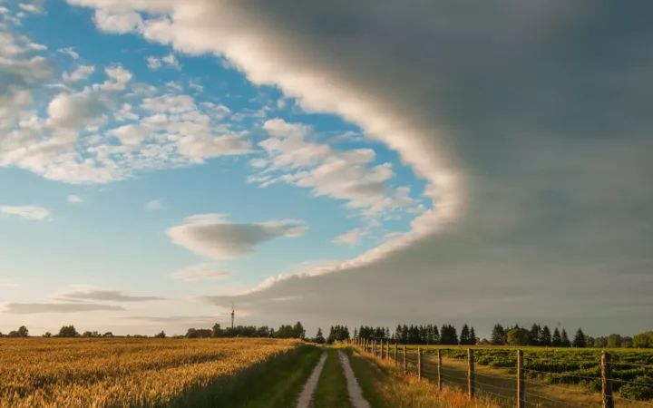 Die Cloud ist die Zukunft des SAP-Ecosystems! Ist das wirklich so?