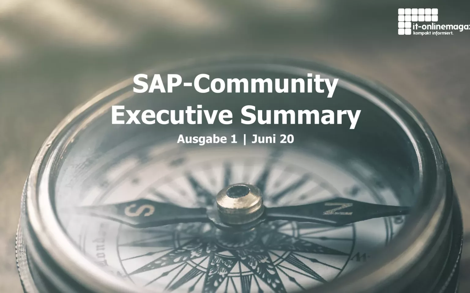 SAP-Community Executive Summary | Ausgabe 1 | Juni 2020