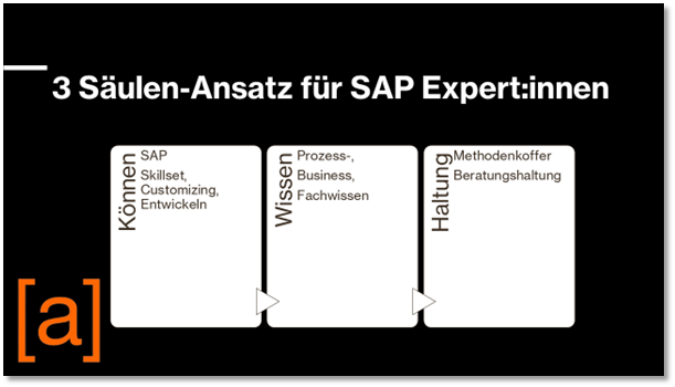 SAP Consultants Säulenmodell