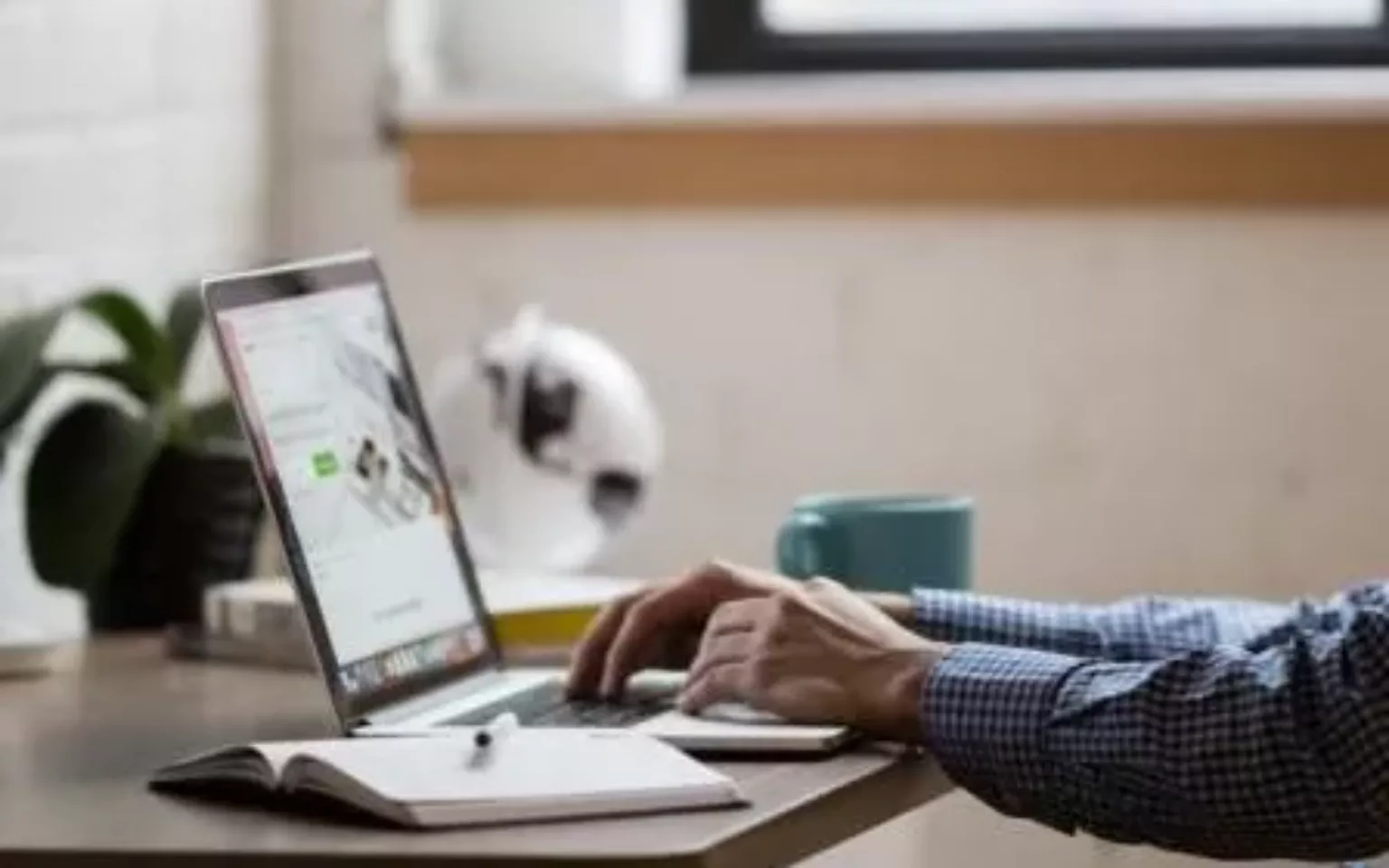 DSGVO-konforme und sichere SAP-Reports und Datenexporte