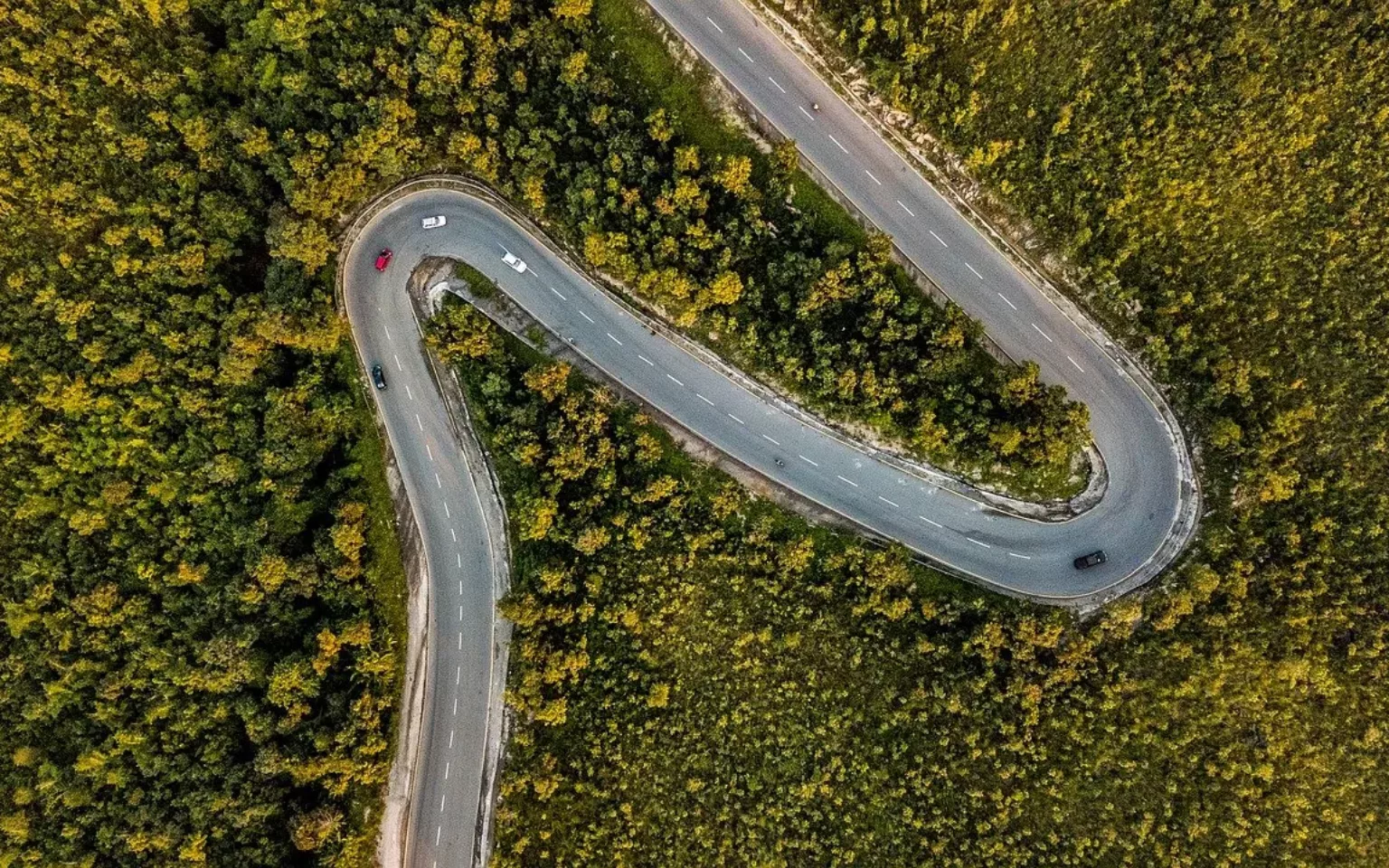 Mit Nutzungsanalysen schneller nach SAP S/4HANA