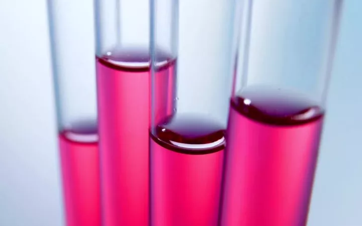 Boehringer Ingelheim: Mit automatisierten Systemanalysen in Richtung SAP Standard