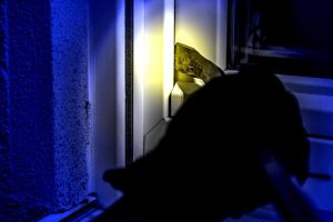SAP Security Tipps