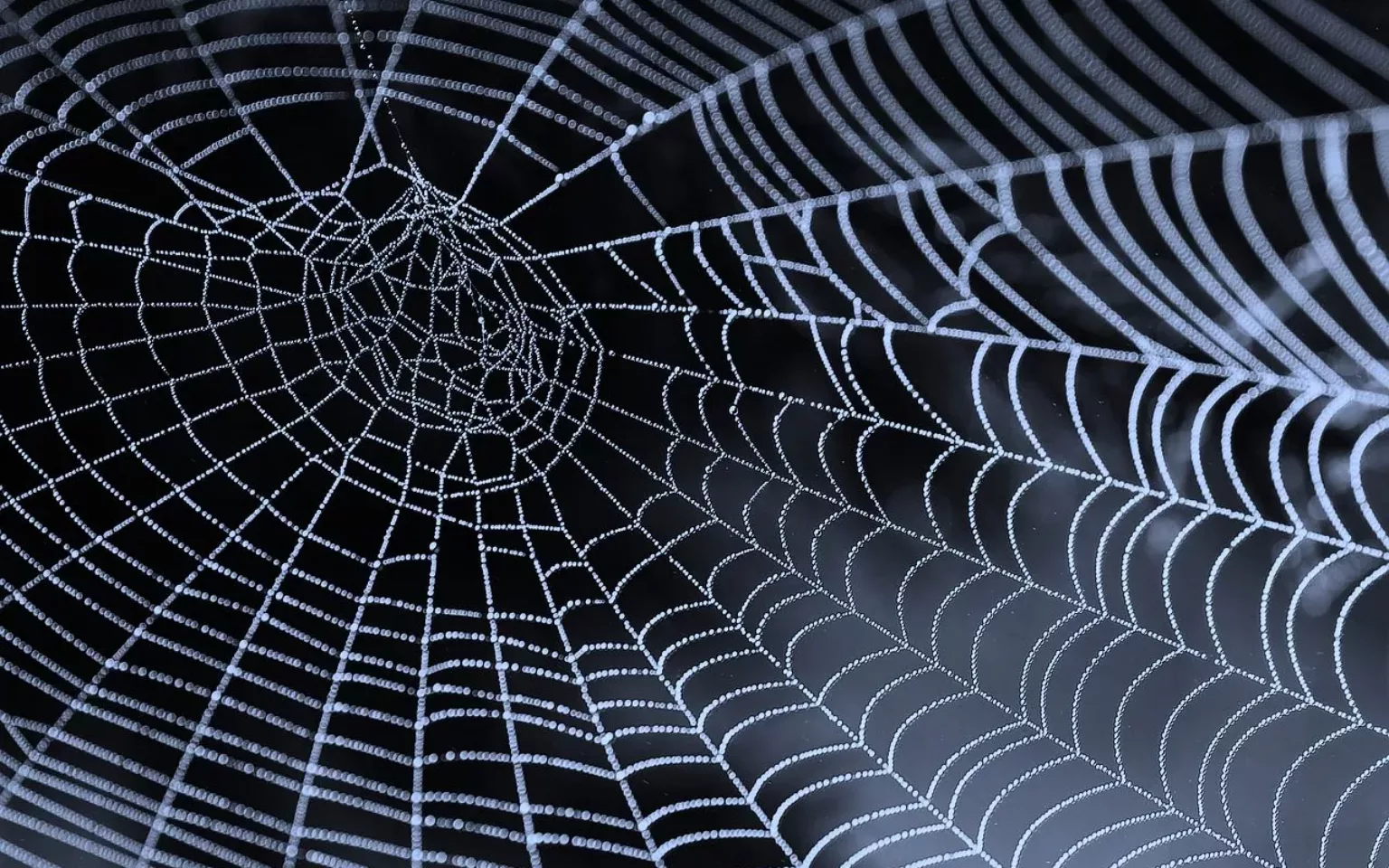 SAP Sicherheit: Gefahren, Risiken, Angriffspunkte, Schutzmöglichkeiten und Tipps