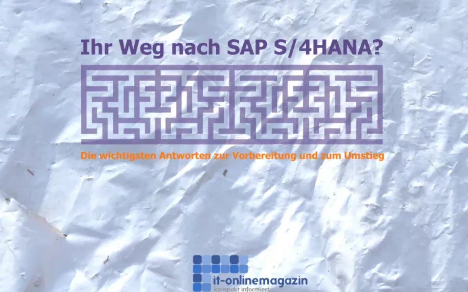 „S/4HANA Umstieg und Vorbereitung“ Onlinekonferenz (live und als Aufzeichnung)